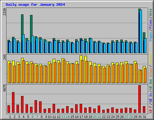 Daily usage for January 2024