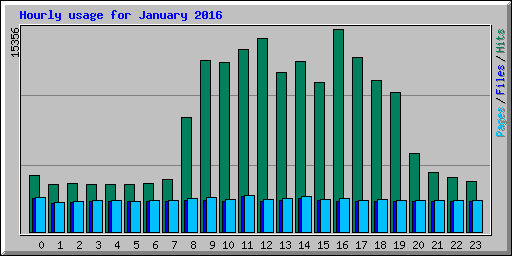 Hourly usage for January 2016