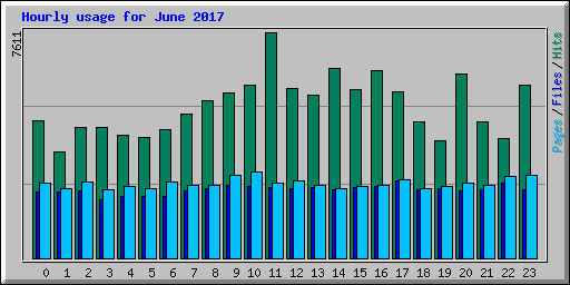 Hourly usage for June 2017