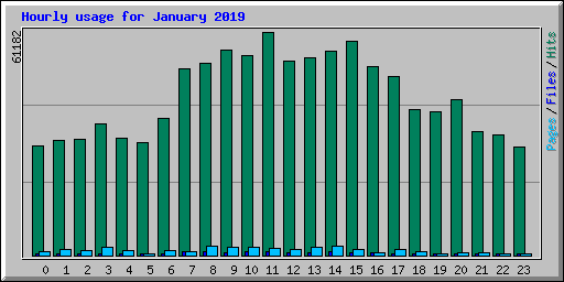 Hourly usage for January 2019