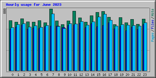 Hourly usage for June 2023