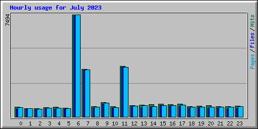 Hourly usage for July 2023