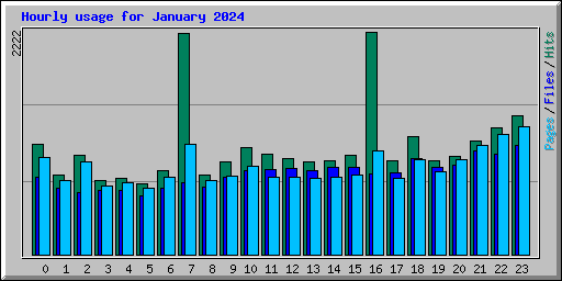 Hourly usage for January 2024