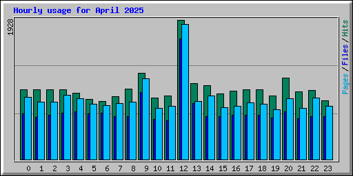 Hourly usage for April 2025