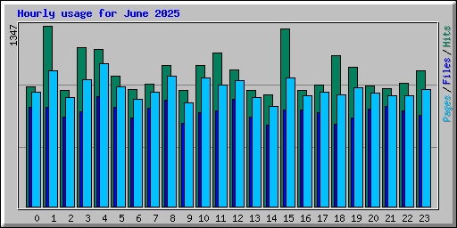 Hourly usage for June 2025